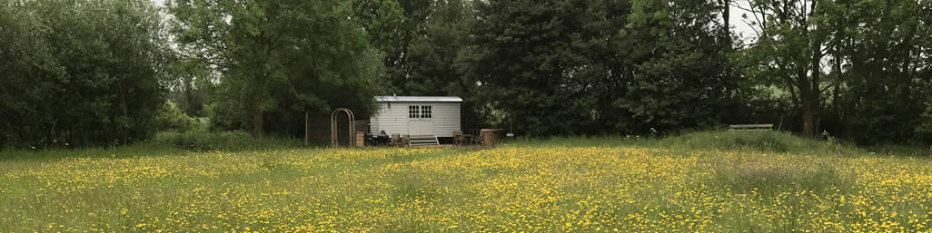 Foster's Meadow Glamping
